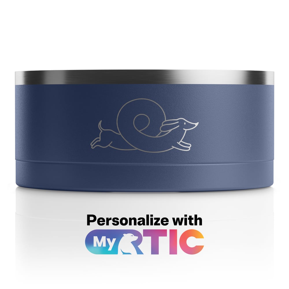 3-In-1 Dog Bowl Navy & Graphite | Rtic Drinkware|Clearance
